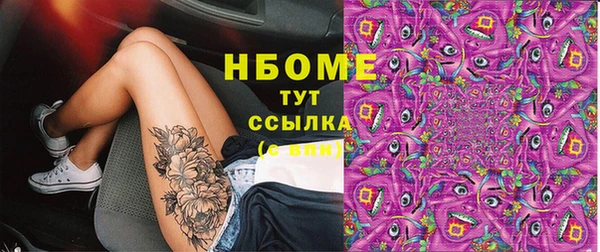 гидра Горняк