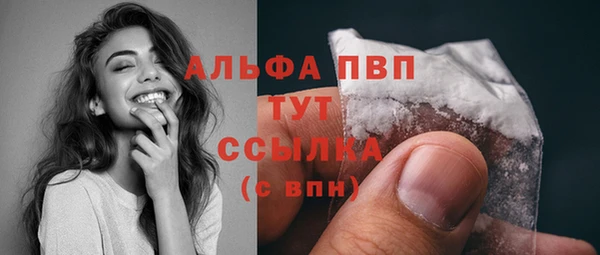 гидра Горняк