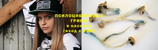 гидра Горняк