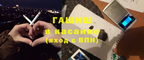 гидра Горняк
