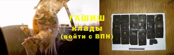 гидра Горняк