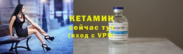 гидра Гусев