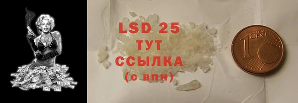 гидра Горняк