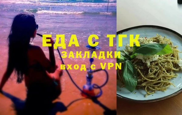 гидра Горняк