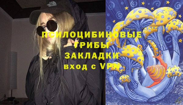 гидра Горняк