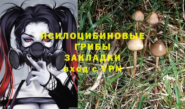 гидра Горняк