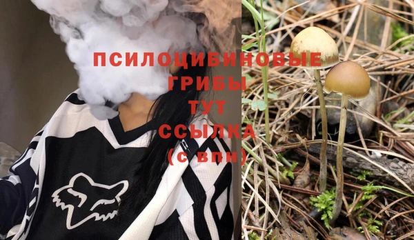 ALPHA PVP Гусиноозёрск
