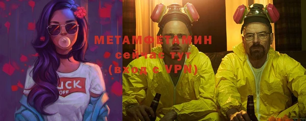 гидра Горняк