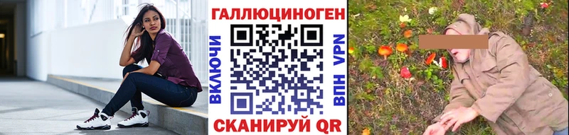 Купить закладки  Дмитровск  Псилоцибиновые грибы GOLDEN TEACHER 
